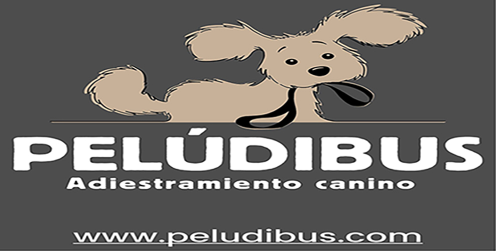 RedimensionadoLogo Pelúdibus